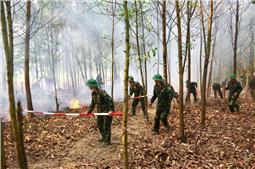 Trung đoàn 246, Sư đoàn 346 giúp dân chữa cháy rừng
